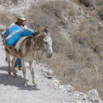 Colca Canyon Transport